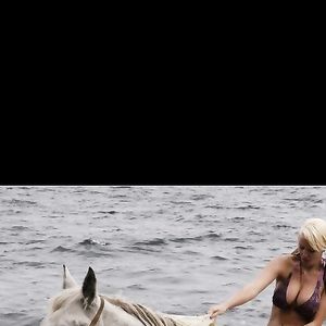 Beautiful big tit blonde