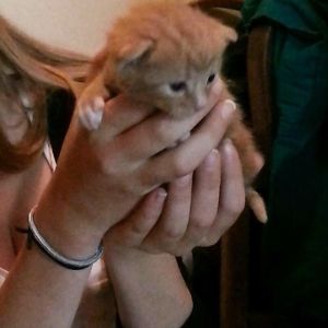 Daley Kruithof (Big tit slut)