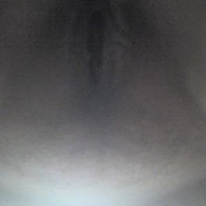 My Lovely Big Titted Girlfriend