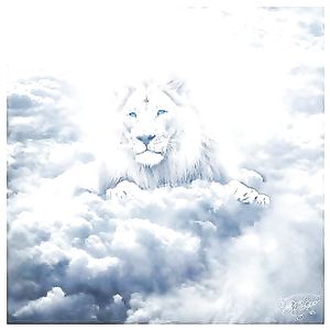 big hood acceptors - big boobs