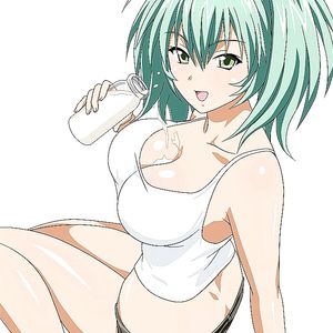 Ryofu Housen (Ikkitousen) - big boobs