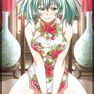 Ryofu Housen (Ikkitousen) - big boobs
