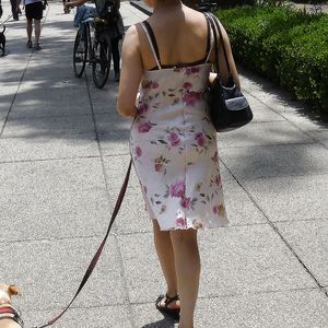 Perra pasiando a su perro - hidden camera