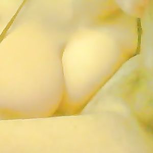 Huge Tits Wife sucking - latin