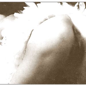 Michelle Webber spread - big boobs