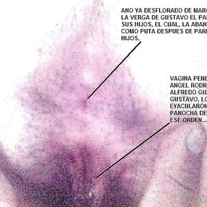 El por que de la tetas - milf