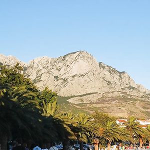 Amiche disinibite in vacanza assieme - big boobs