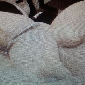 ass pussy fingeing toy - amateur