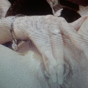 ass pussy fingeing toy - amateur