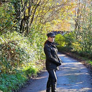 Red-Perfect Lady - pornstar