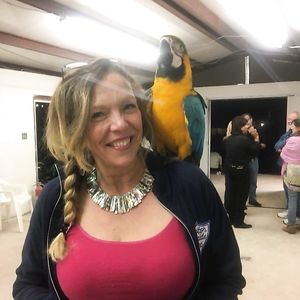 My big titted wife. - big boobs