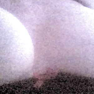 Soft Succulent Big Tits - nipples