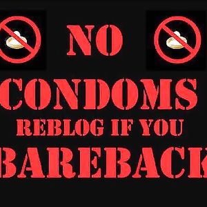 My Views and Philosophies (comments please) - asses