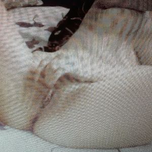 pusy playing in th night - big boobs