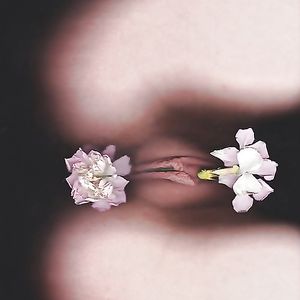 Porn is Art - cumshot