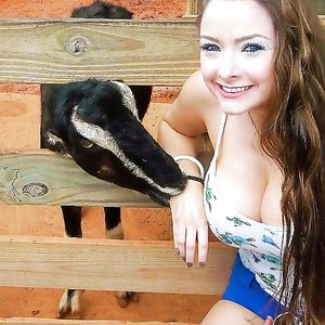 Webtastic Boobs Vol.934 - amateur