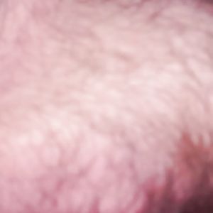 bbw boobs - big boobs