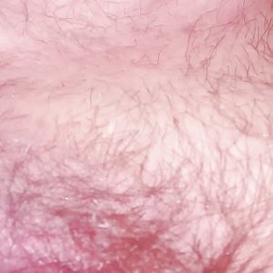 bbw boobs - big boobs