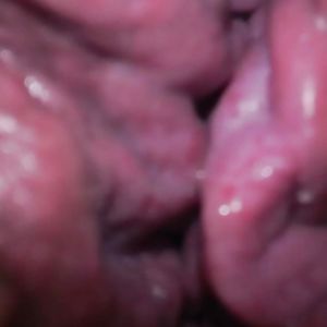 bbw boobs - big boobs