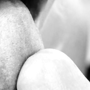 Mixed Shames of Grey 17 - asses