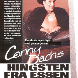 cats 5-95 - big boobs