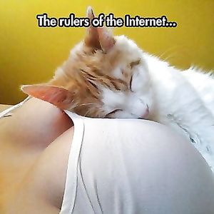 nice soft tits - funny