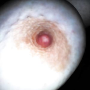 gemischt - big boobs