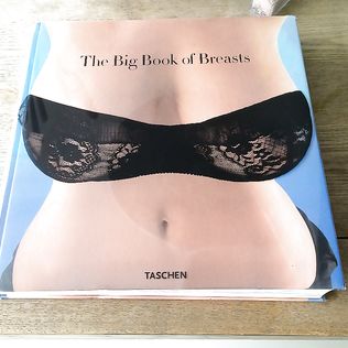 The Big Book of Breasts - big boobs