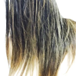 My latest pics - flashing