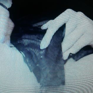 toys breast fingering  tits beauty - babe