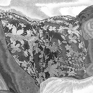 camelia fait sa chaude - bbw